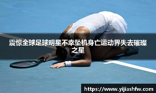 震惊全球足球明星不幸坠机身亡运动界失去璀璨之星